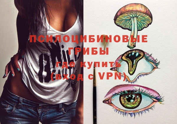 ALPHA PVP Армянск